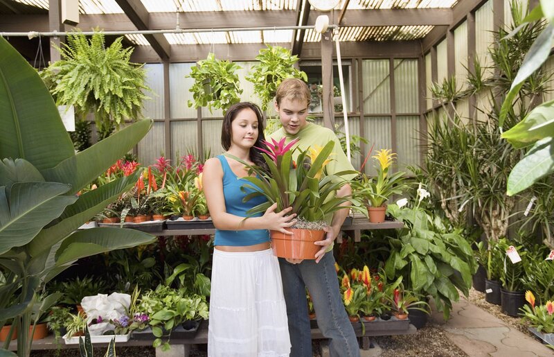 couple on garden holding a plant